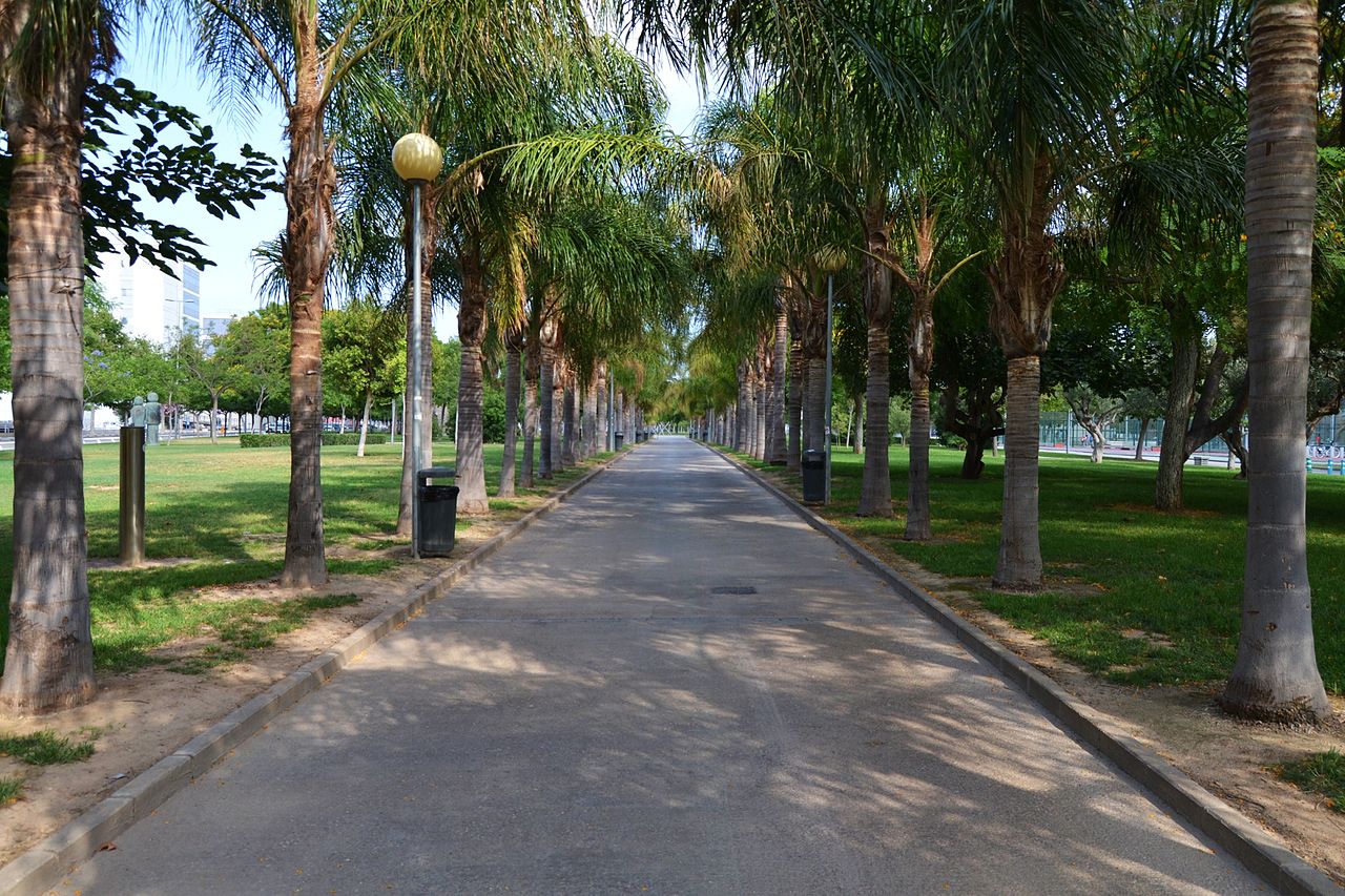 Passeig al jardí Central de la Universitat Politècnica de València.