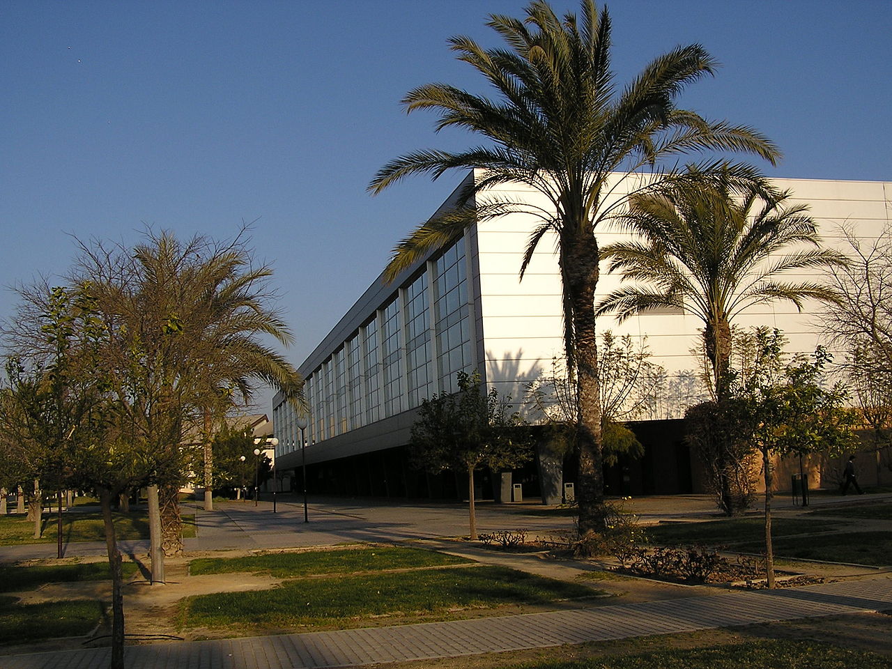 Biblioteca General. Campus Universitat d'Alacant